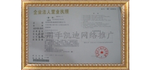 凯迪企业工商营业执照